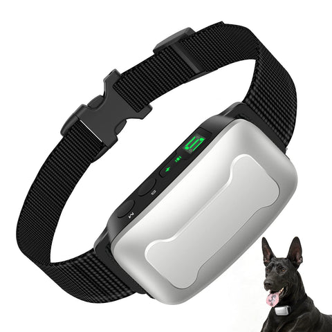 Bark Collars