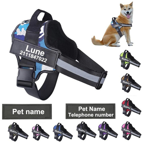 COLLARS &amp; HARNESS