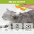 Cat Steam Brush, New 3 in1 Steamy Pet Hair Brush Cleanser Vapor for Dogs, Cat Mist Brush, Cat Bath Brush with Steamer Water, Steaming Grooming Pet Brush for Shedding, Pet Cat Spray Comb with Steam