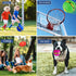 Dog Flying Saucer Ball -Light OwowPet Pet Magic Ball Portable Birthday Samll Dog Toy Balls Interactive Herding Decompression Kids Toys((Blue)