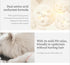 Luxurious Premium Shampoo