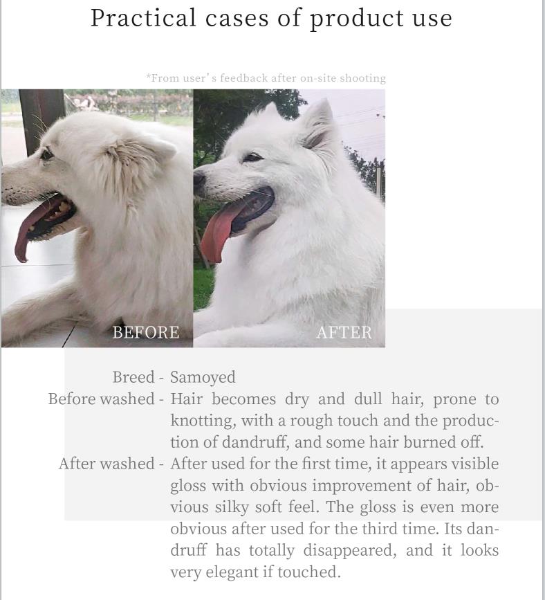 Luxurious Premium Shampoo