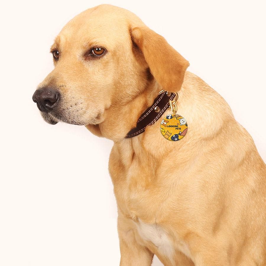 Lookingpets ID Tag System, Take it for FREE & Protect Your Pet for Life